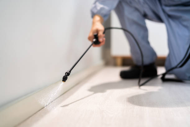 Bed Bug Pre-Treatment Preparation Assessment in Laurens