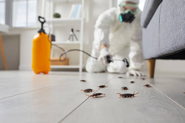 Post-Treatment Bed Bug Interceptor Monitoring in Laurens